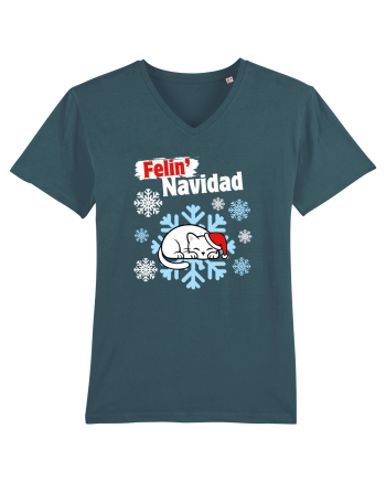 Funny Christmas Cat Stargazer