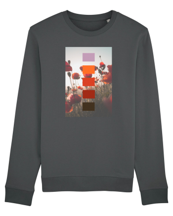 Poppy Field Anthracite