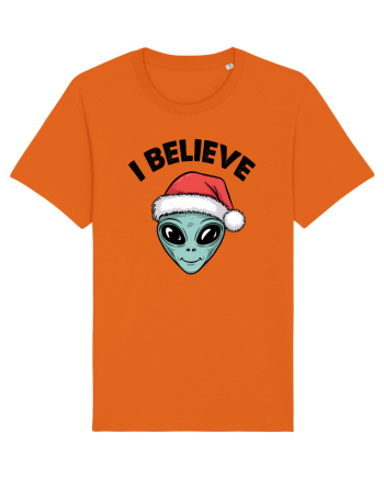 Crăciun extraterestru - I believe Bright Orange