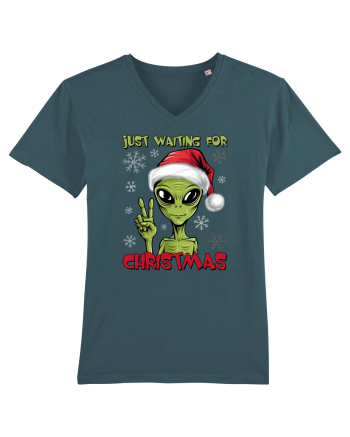 Crăciun extraterestru - Just waiting for Christmas Stargazer