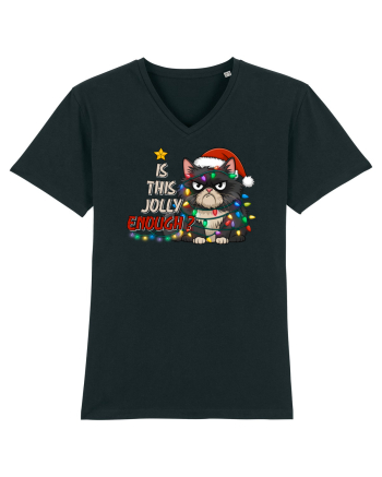 de Crăciun cu pisici rebele - Is this jolly enough Black
