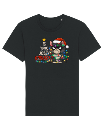 de Crăciun cu pisici rebele - Is this jolly enough Black