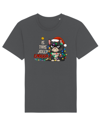 de Crăciun cu pisici rebele - Is this jolly enough Anthracite