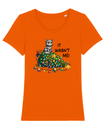 de Crăciun cu pisici rebele - It was not me Bright Orange