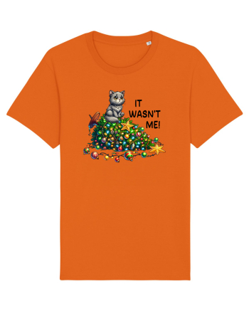 de Crăciun cu pisici rebele - It was not me Bright Orange
