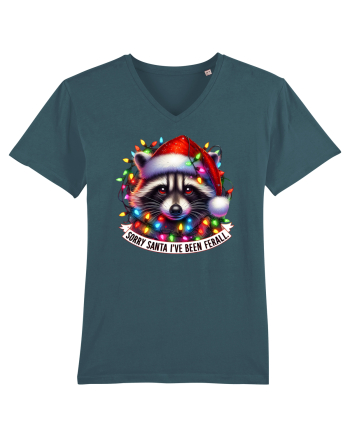 nonconformist de Crăciun - Sorry Santa I have been ferral Stargazer