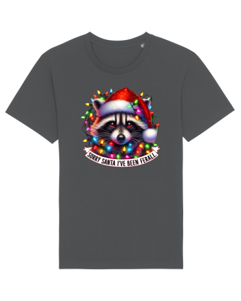 nonconformist de Crăciun - Sorry Santa I have been ferral Anthracite