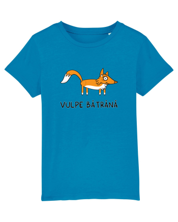Vulpe bătrână Azur