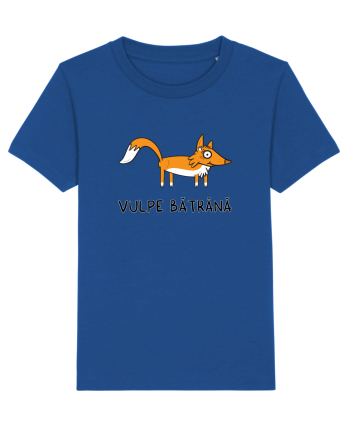 Vulpe bătrână Majorelle Blue