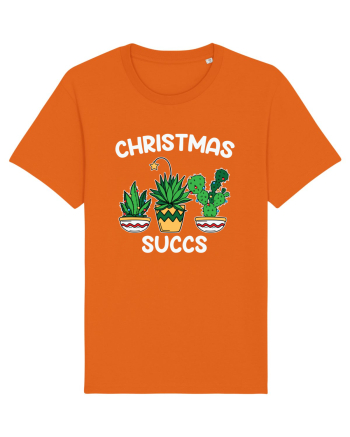 Christmas Succs Bright Orange