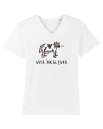 Vită încălțată Tricou mânecă scurtă guler V Bărbat Presenter