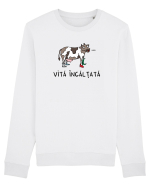 Vită încălțată Bluză mânecă lungă Unisex Rise