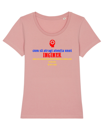 CUM SA ATRAGI ATENTIA UNUI INGINER Canyon Pink