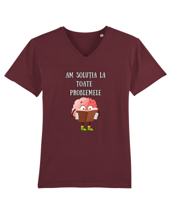 AM SOLUȚIA LA TOATE PROBLEMELE Burgundy