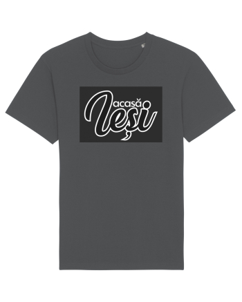 Iesi acasa Anthracite