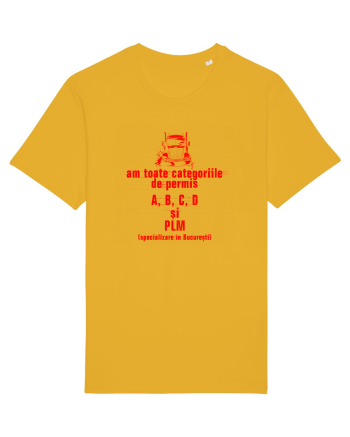 AM TOATE CATEGORIILE, A B C D si PLM - sofer Spectra Yellow