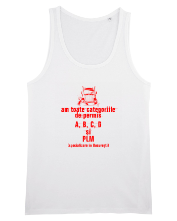 AM TOATE CATEGORIILE, A B C D si PLM - sofer White