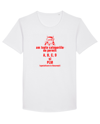 AM TOATE CATEGORIILE, A B C D si PLM - sofer White