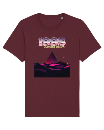 Născut in 1995 SW pyramid limited edition Burgundy