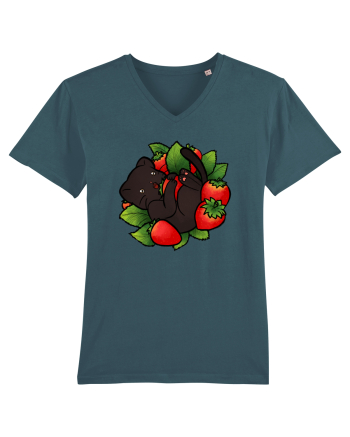Strawberry Cat Stargazer