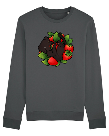 Strawberry Cat Anthracite