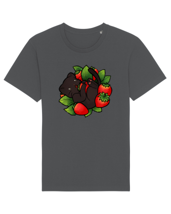 Strawberry Cat Anthracite