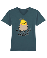 Rupe-le capu' Gogule Tricou mânecă scurtă guler V Bărbat Presenter