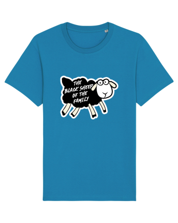 Black Sheep of the family Azur