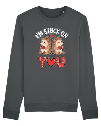 I'm Stuck On You | Hedgehog Valentine's Anthracite