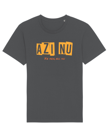 AZI NU. TE ROG EU, NU Anthracite