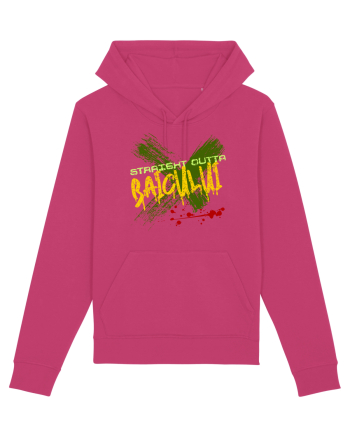 STRAIGHT OUTTA BAICULUI - DIN BAICULUI Raspberry