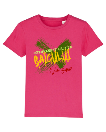 STRAIGHT OUTTA BAICULUI - DIN BAICULUI Raspberry