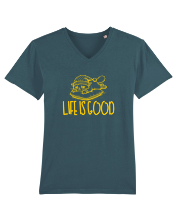 LIFE IS GOOD - VIATA E BUNA (cand dormi) 2 Stargazer
