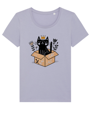 Pisica în cutie Lavender