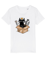 Pisica în cutie Tricou mânecă scurtă  Copii Mini Creator