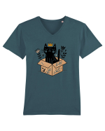 Pisica în cutie Tricou mânecă scurtă guler V Bărbat Presenter