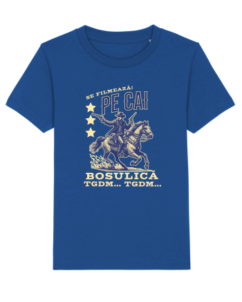 Pentru angajati - pe cai ca se filmează  Majorelle Blue