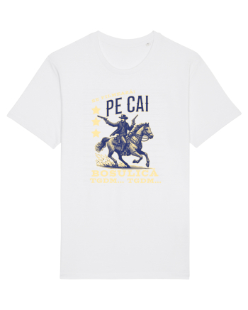 Pentru angajati - pe cai ca se filmează  White