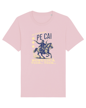 Pentru angajati - pe cai ca se filmează  Cotton Pink
