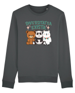 Diversitatea exista - un design cu ursi Bluză mânecă lungă Unisex Rise