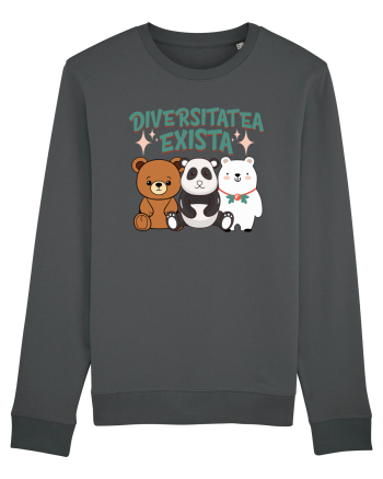 Diversitatea exista - un design cu ursi Anthracite