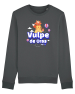 Vulpe de oras Bluză mânecă lungă Unisex Rise