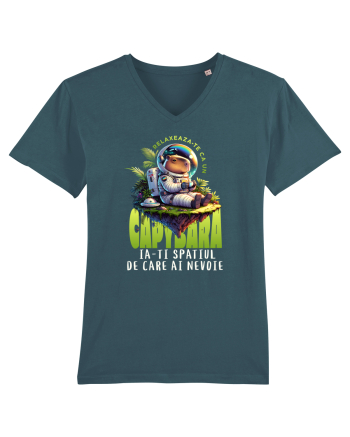 Capybara - relaxare, ia-ți spațiul de care ai nevoie  Stargazer