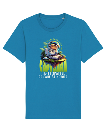 Capybara - relaxare, ia-ți spațiul de care ai nevoie  Azur