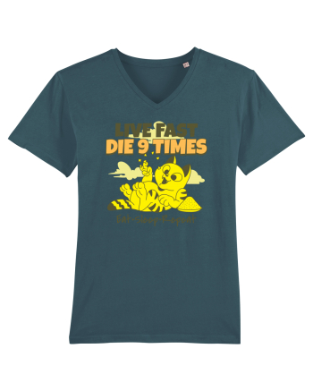 Cu pisici- funny cat, live fast, die 9 times Stargazer
