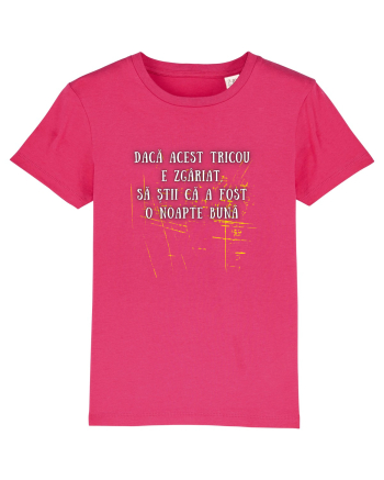TRICOU ZGÂRIAT Raspberry