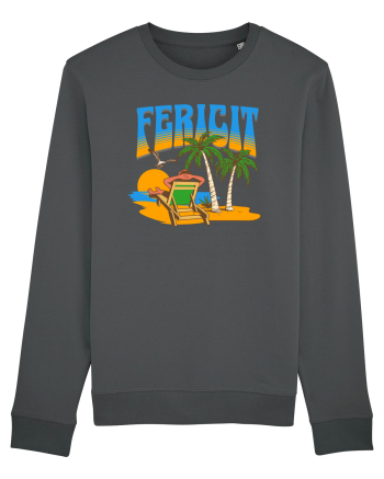 Fericire la mare  Anthracite