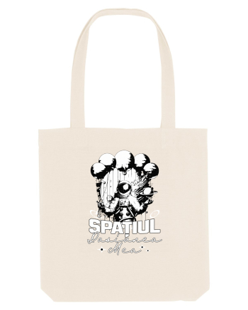 Astronaut - Spatiul pasiunea mea Natural