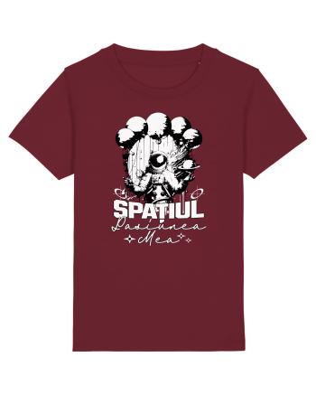 Astronaut - Spatiul pasiunea mea Burgundy