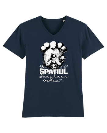 Astronaut - Spatiul pasiunea mea French Navy